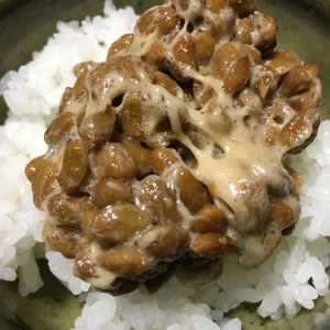 納豆ごはん